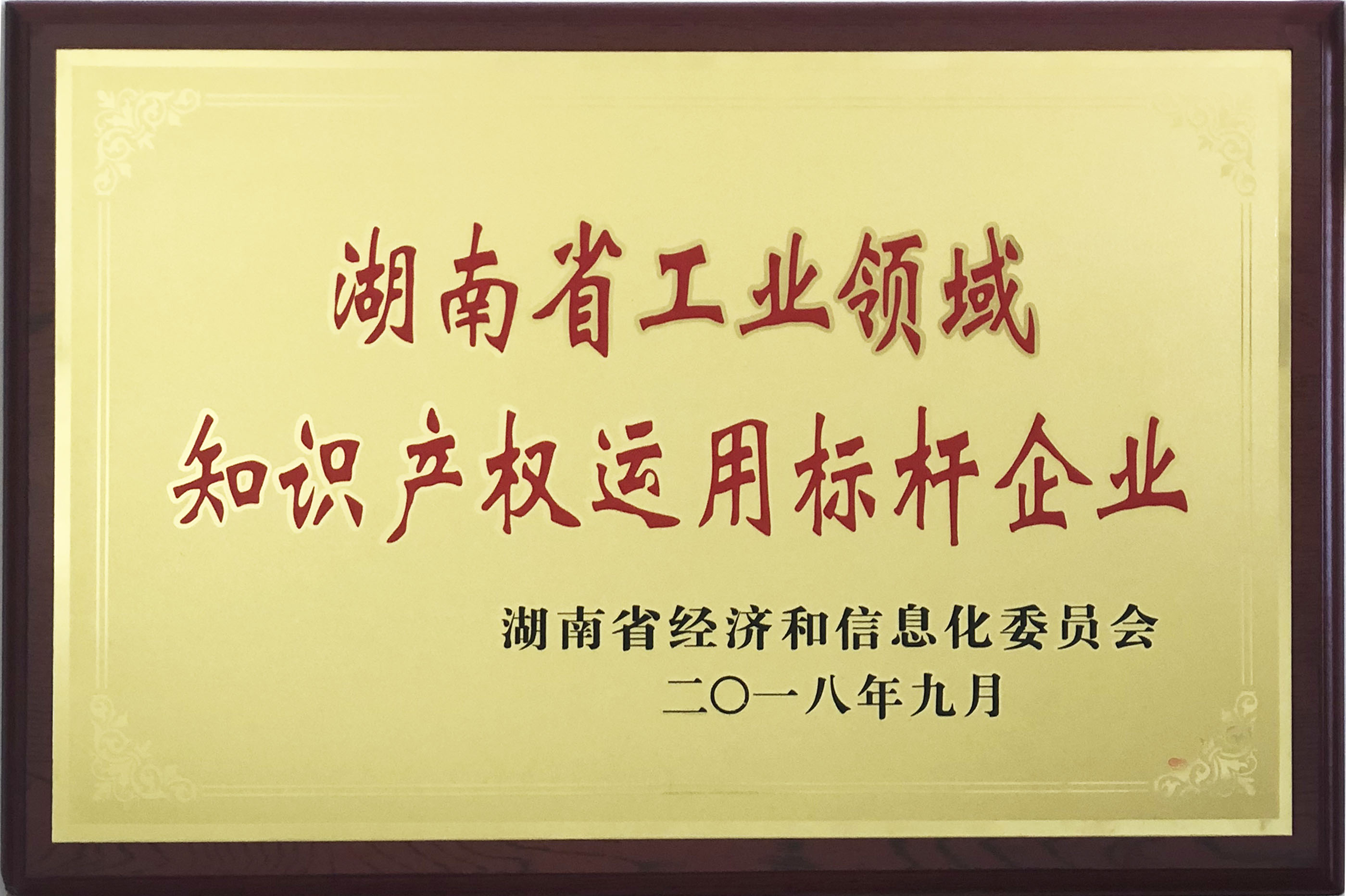 湖南省工業領域知識產權運用標桿企業